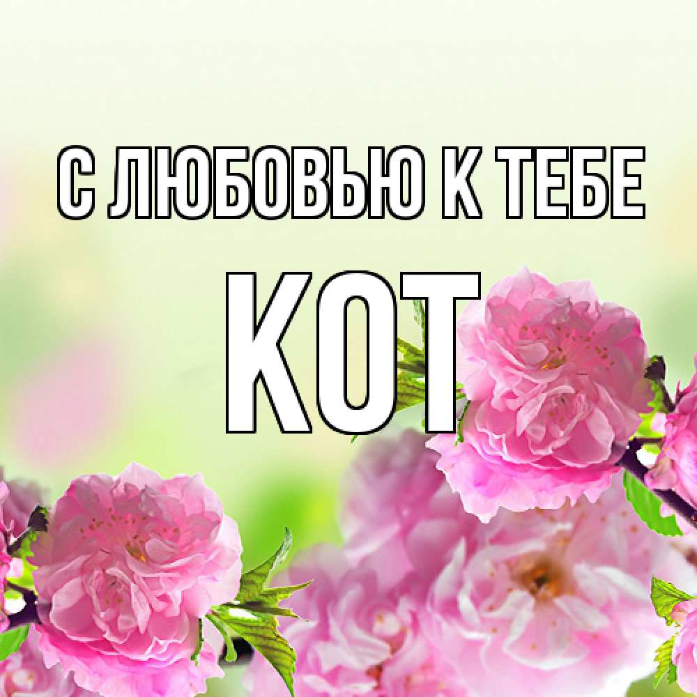 Открытка  с именем. КОТ, С любовью к тебе  