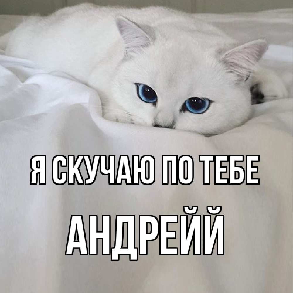 Открытка  с именем. Андрейй, Я скучаю по тебе  