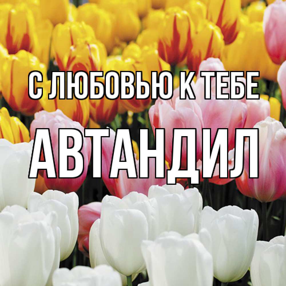 Открытка  с именем. Автандил, С любовью к тебе  