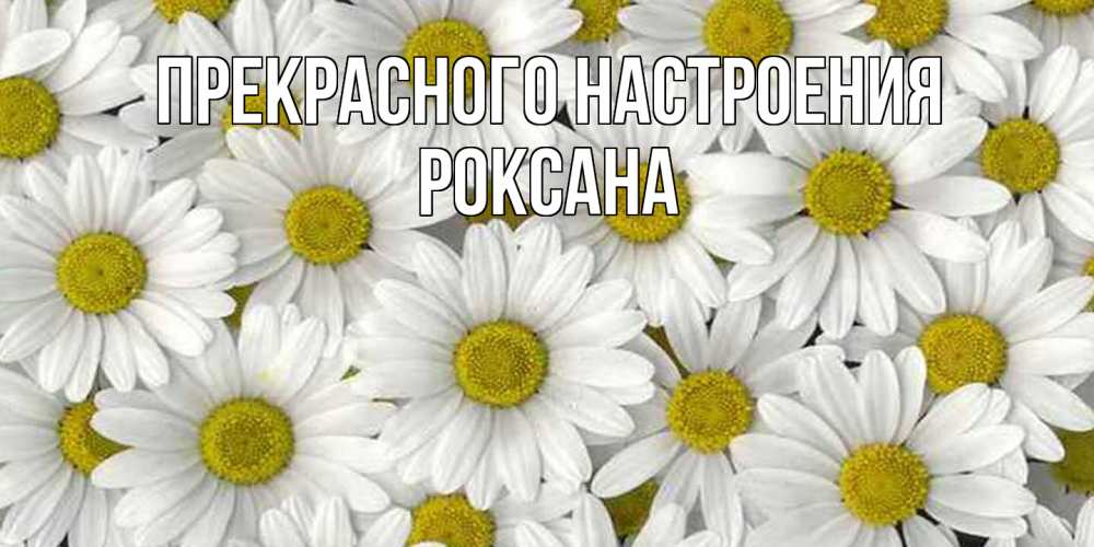 Открытка  с именем. Роксана, Прекрасного настроения  