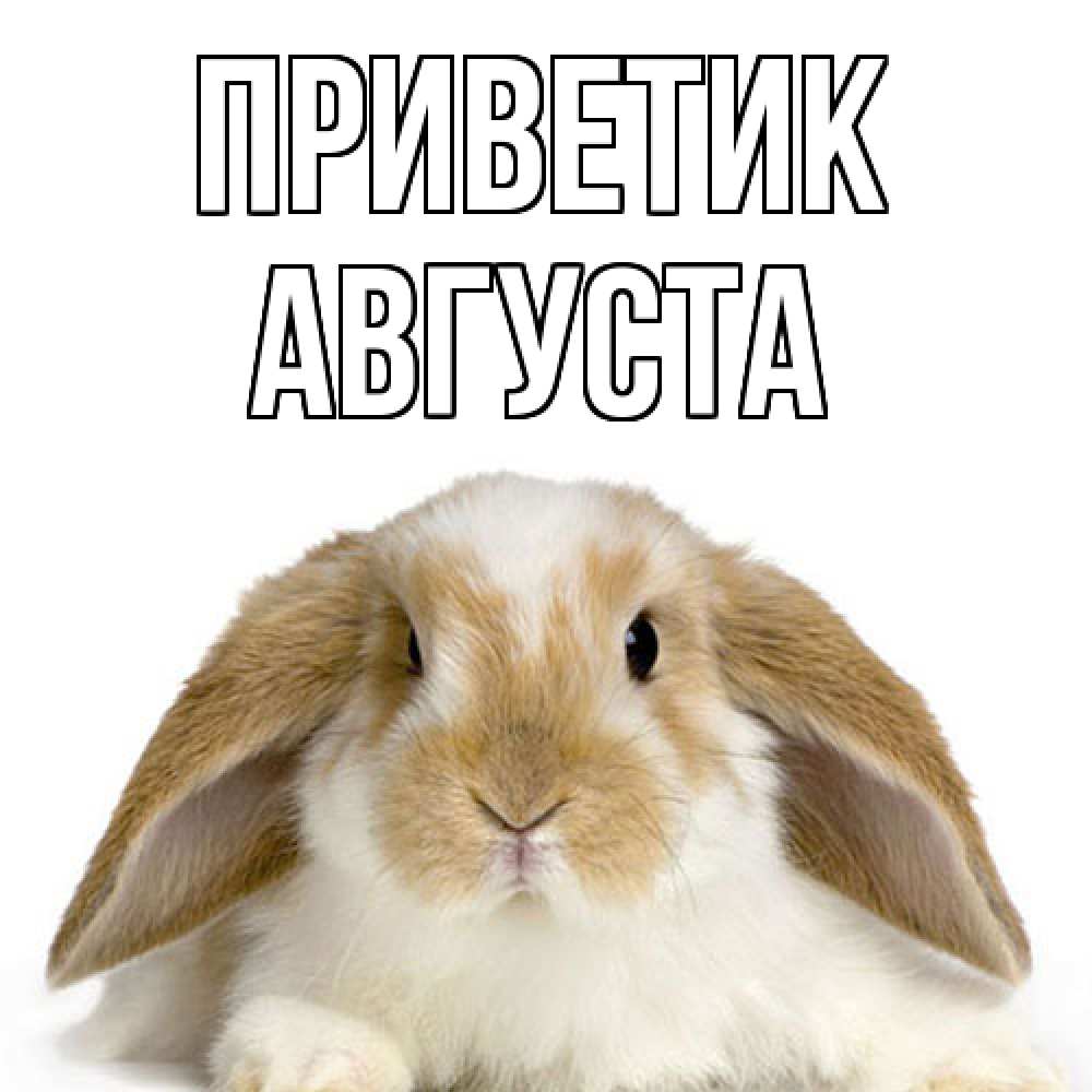 Открытка  с именем. Августа, приветик  