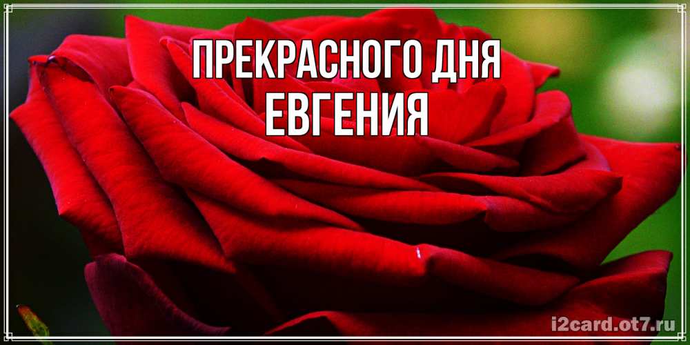 Открытка  с именем. Евгения, Прекрасного дня  