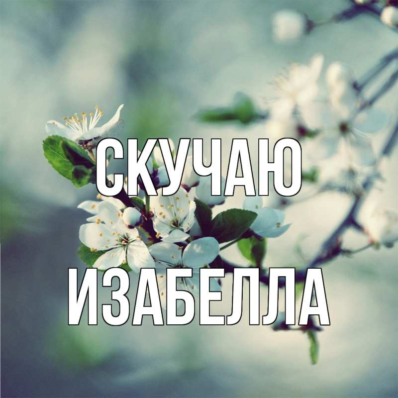 Картинка Скучаю, Изабелла