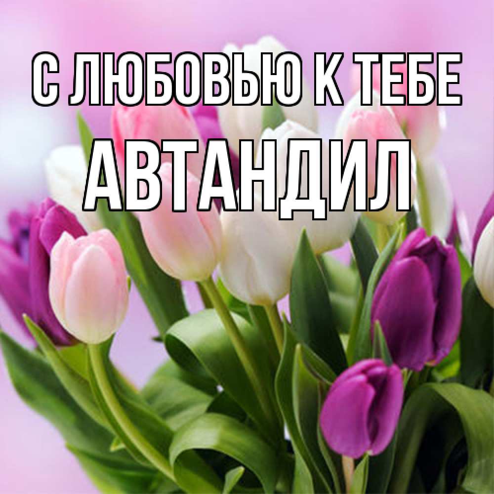Открытка  с именем. Автандил, С любовью к тебе  