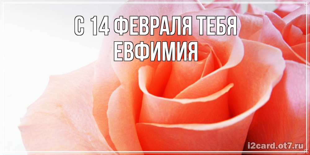Открытка  с именем. Евфимия, С 14 февраля тебя  