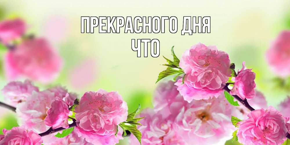 Открытка  с именем. Что, Прекрасного дня  