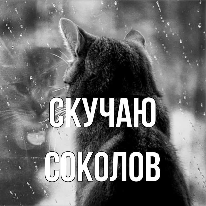 Картинка Скучаю, Соколов
