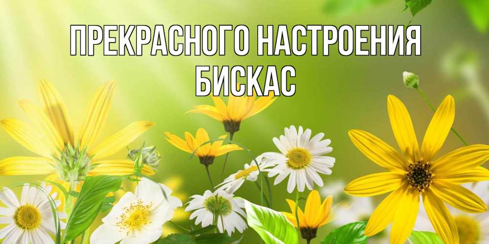 Открытка  с именем. Бискас, Прекрасного настроения  