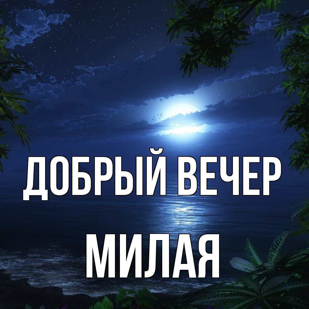 Открытка  с именем. Милая, Добрый вечер  