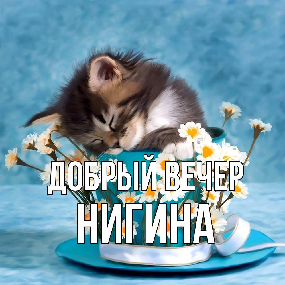 Открытка  с именем. Нигина, Добрый вечер  