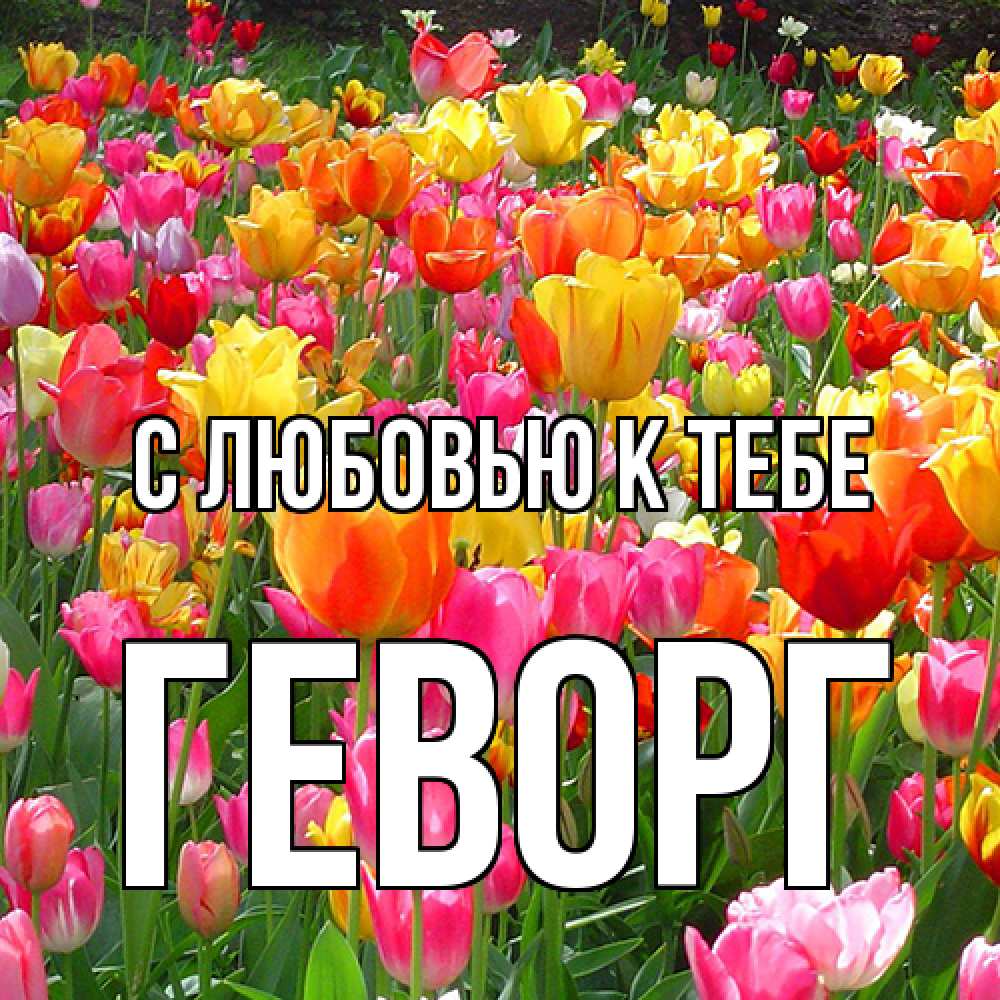 Открытка  с именем. Геворг, С любовью к тебе  