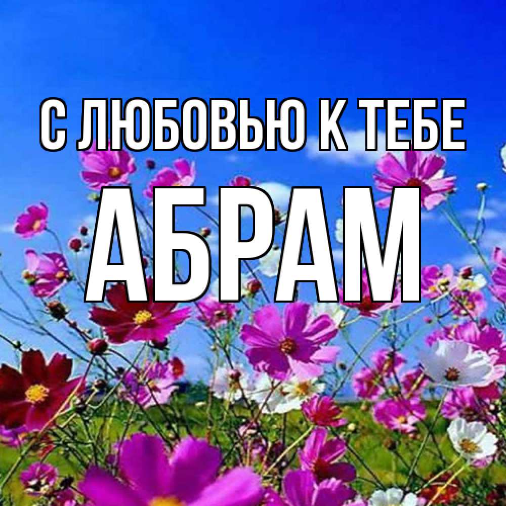 Открытка  с именем. Абрам, С любовью к тебе  