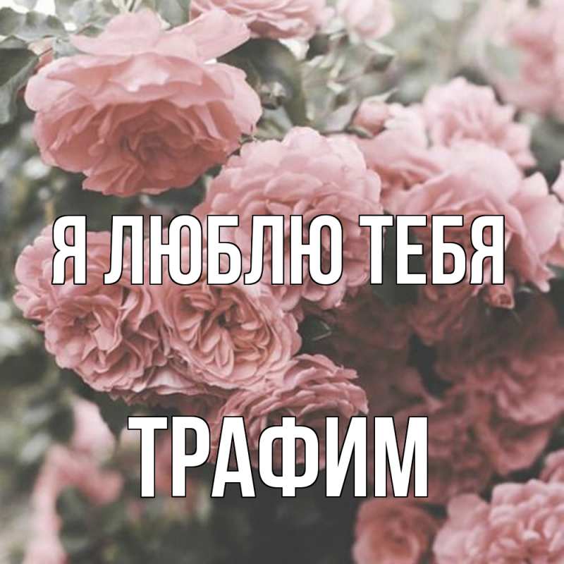 Картинка Я люблю тебя, трафим