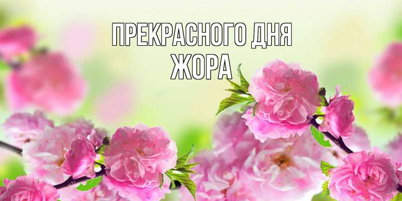 Открытка с именем, Жора, Прекрасного дня