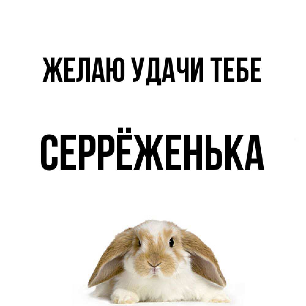 Открытка  с именем. Серрёженька, Желаю удачи тебе  