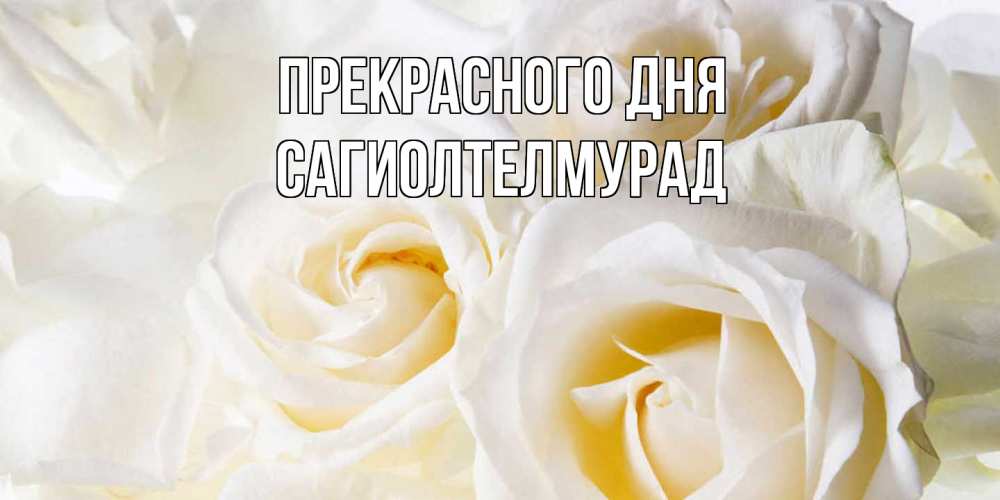 Открытка  с именем. САГИОЛТЕЛМУРАД, Прекрасного дня  