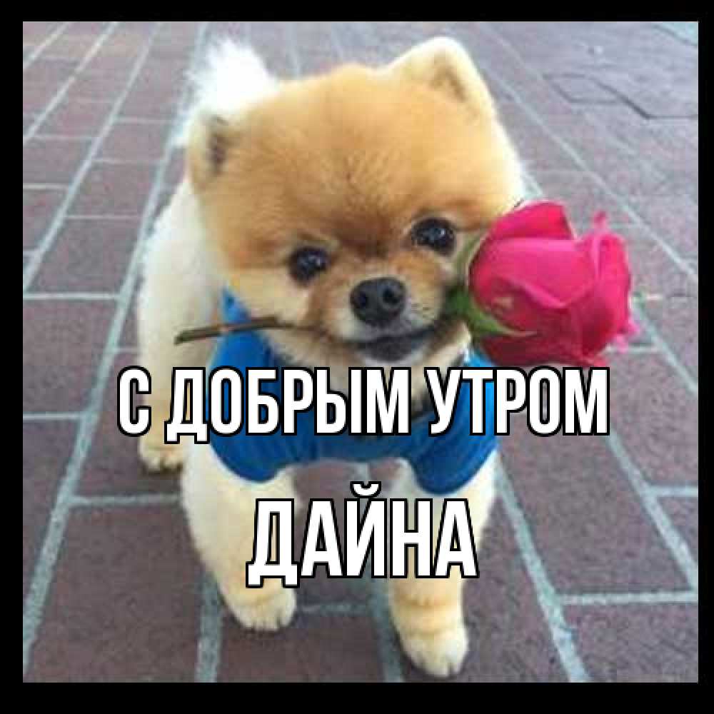 Открытка  с именем. Дайна, С добрым утром  