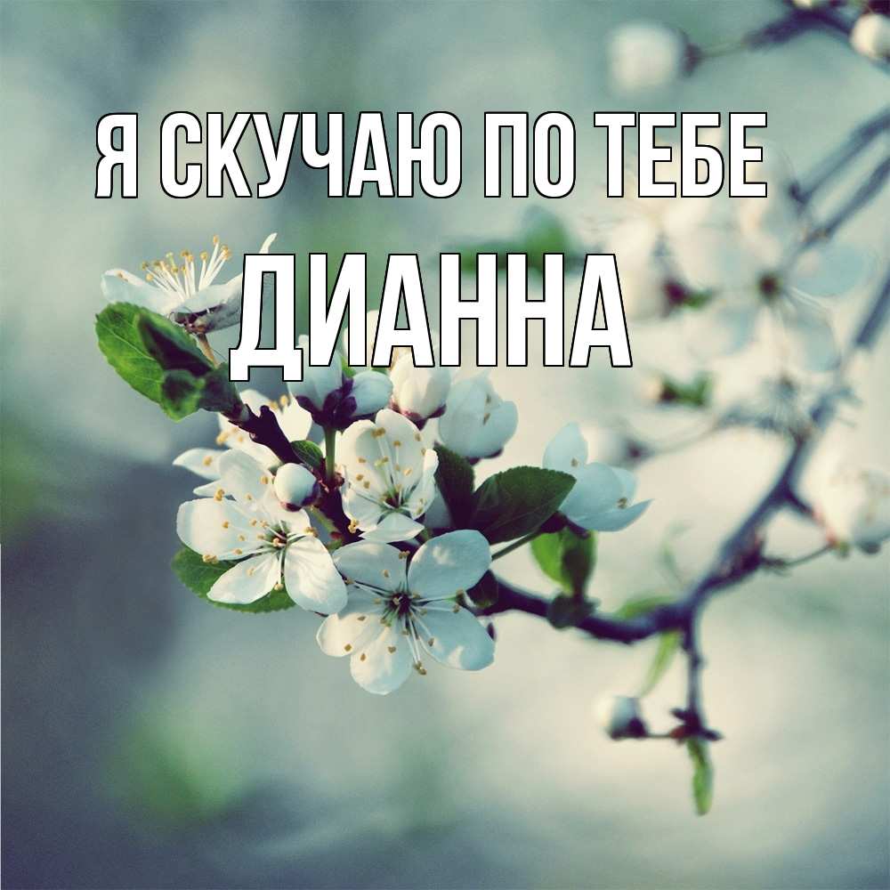Открытка  с именем. Дианна, Я скучаю по тебе  