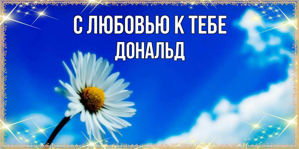 Открытка  с именем. Дональд, С любовью к тебе  