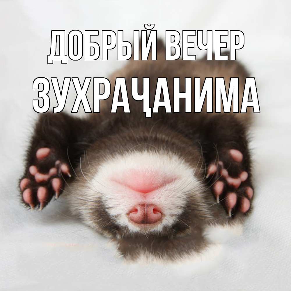 Открытка  с именем. Зухраҷанима, Добрый вечер  