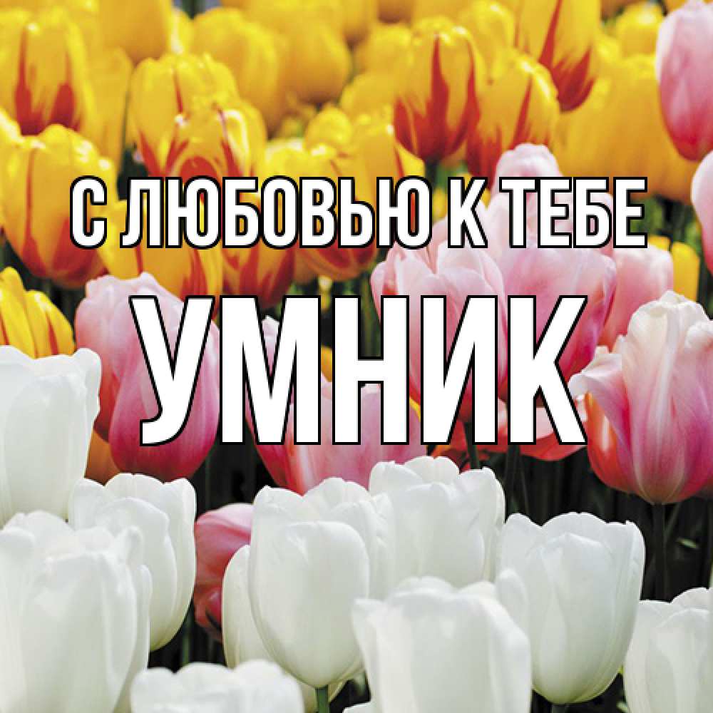 Открытка  с именем. Умник, С любовью к тебе  