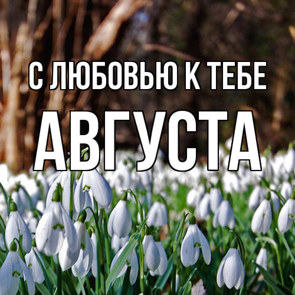Открытка  с именем. Августа, С любовью к тебе  