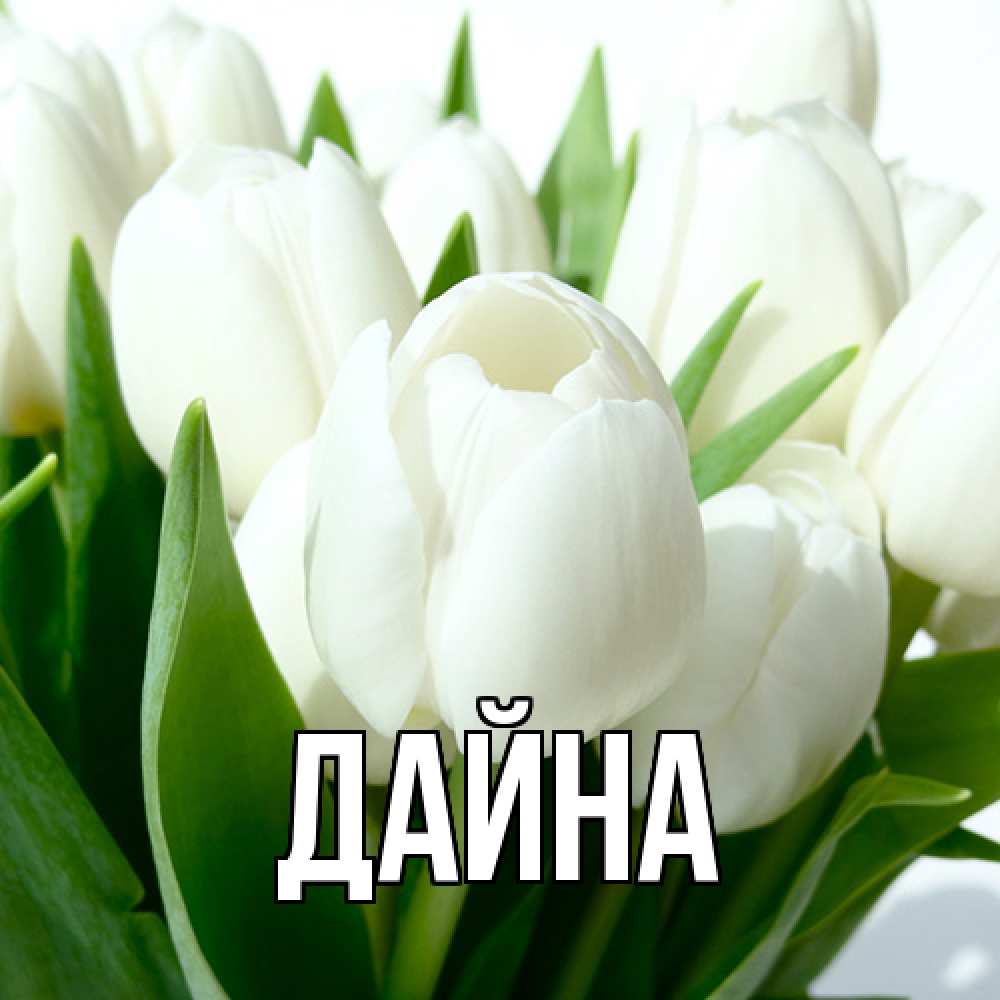 Открытка  с именем. Дайна, Главная  