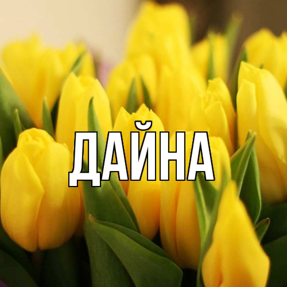 Открытка  с именем. Дайна, Главная  