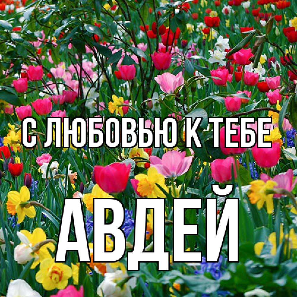 Открытка  с именем. Авдей, С любовью к тебе  