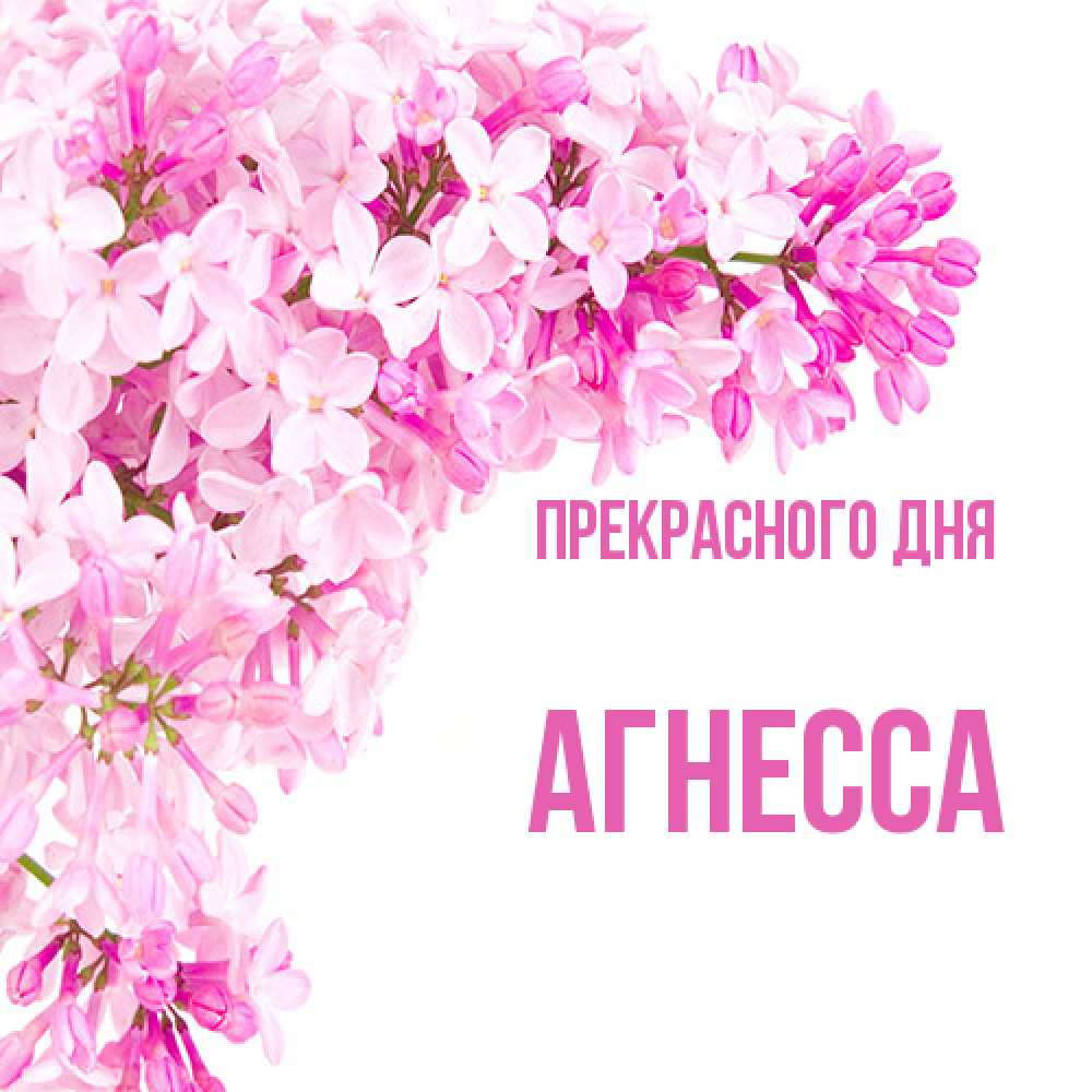 Открытка  с именем. Агнесса, Прекрасного дня  