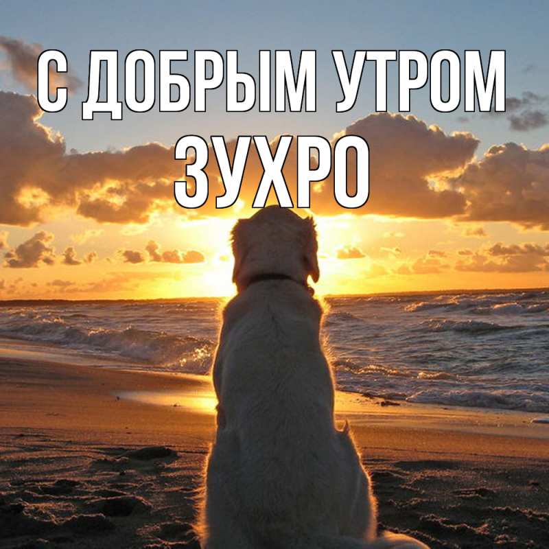 Открытка с именем, Зухро, С добрым утром