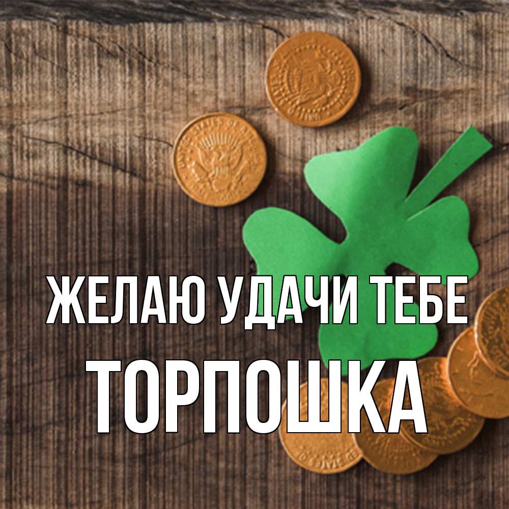 Открытка  с именем. торпошка, Желаю удачи тебе  
