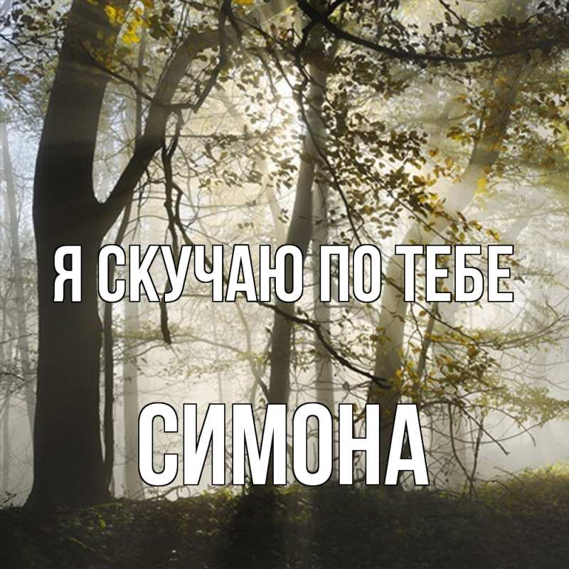 Картинка Я скучаю по тебе, Симона