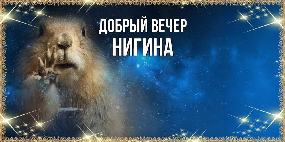 Открытка  с именем. Нигина, Добрый вечер  