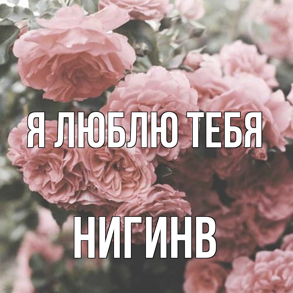 Открытка  с именем. Нигинв, Я люблю тебя  