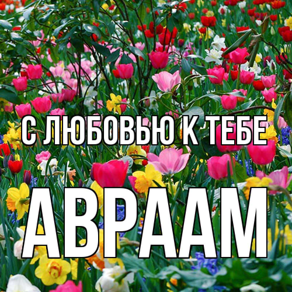 Открытка  с именем. Авраам, С любовью к тебе  