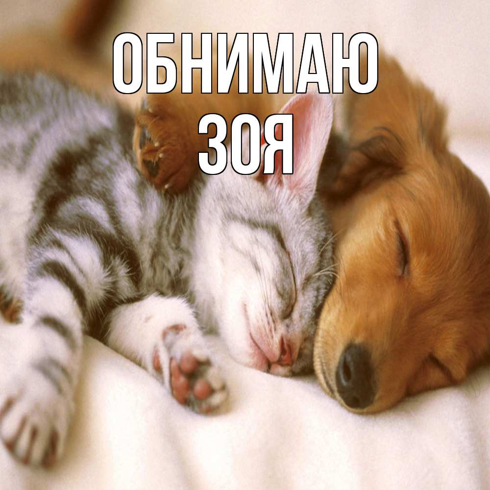 Открытка  с именем. Зоя, Обнимаю  