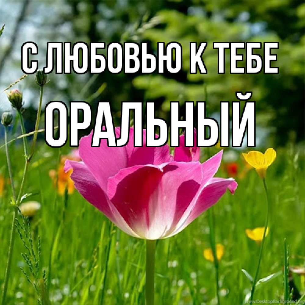 Открытка  с именем. ОРАЛЬНЫЙ, С любовью к тебе  