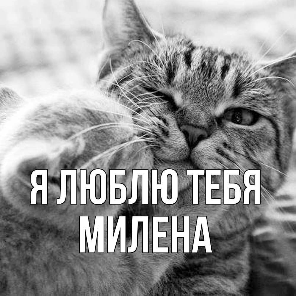Открытка  с именем. Милена, Я люблю тебя  