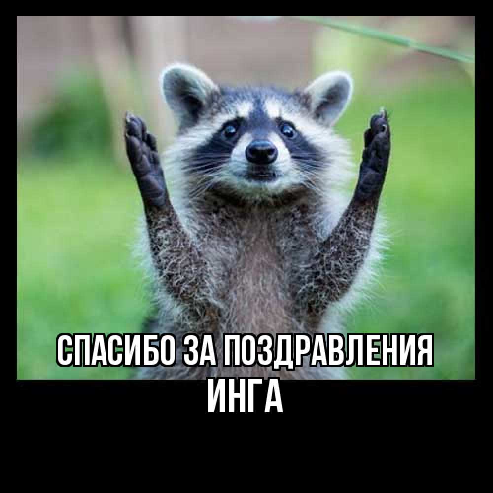 Открытка  с именем. Инга, Спасибо за поздравления  