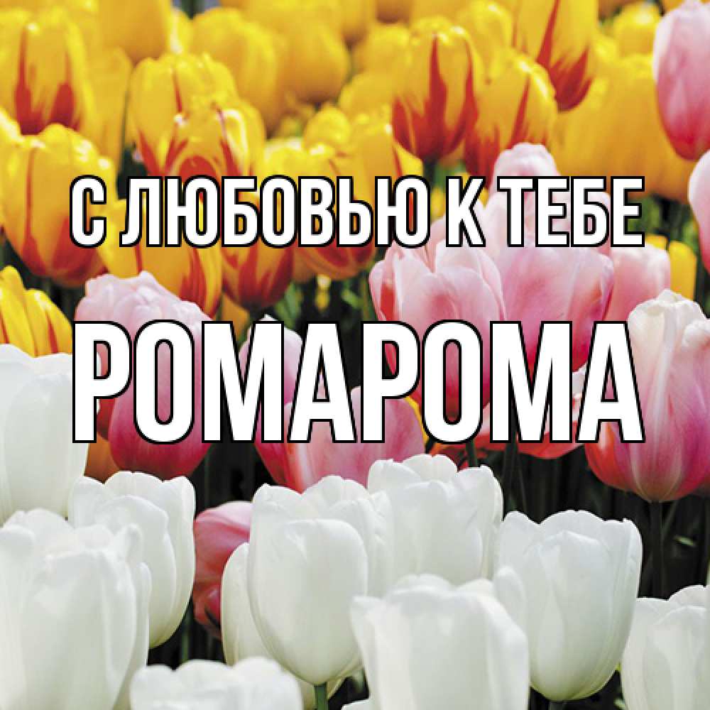 Открытка  с именем. РомаРома, С любовью к тебе  