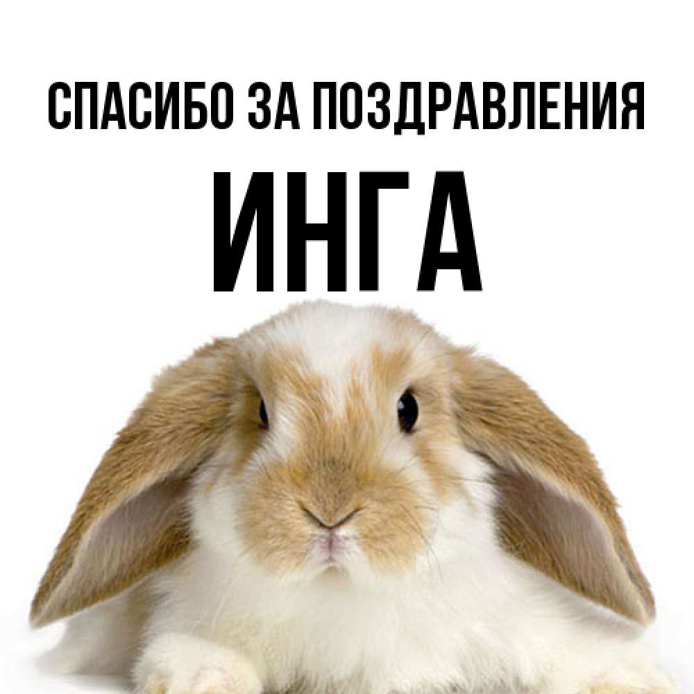 Открытка  с именем. Инга, Спасибо за поздравления  
