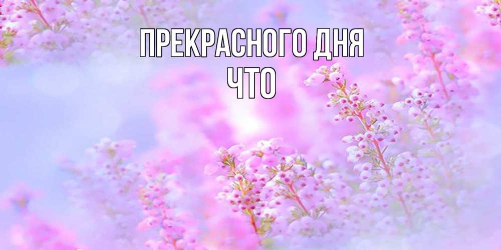 Открытка  с именем. Что, Прекрасного дня  