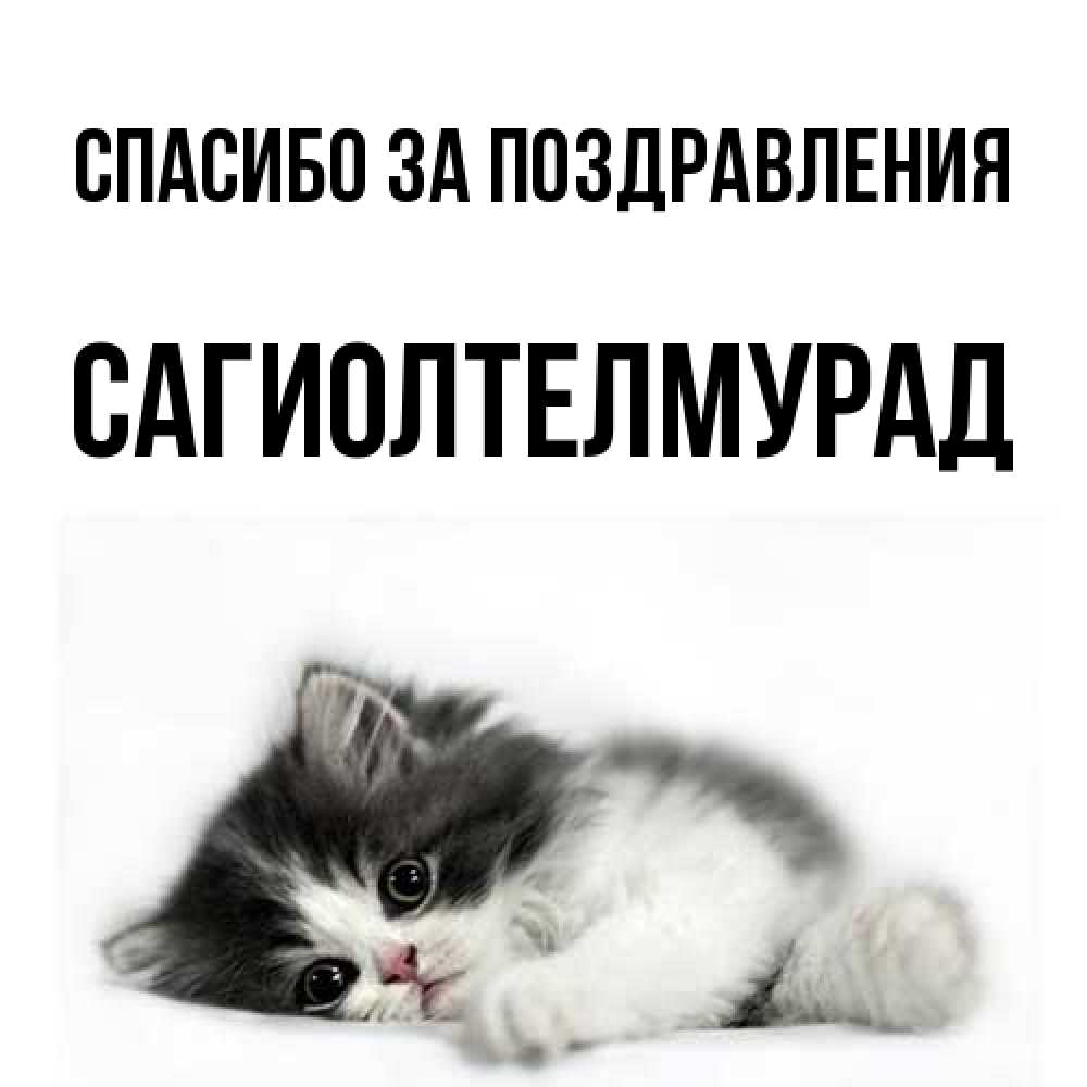 Открытка  с именем. САГИОЛТЕЛМУРАД, Спасибо за поздравления  