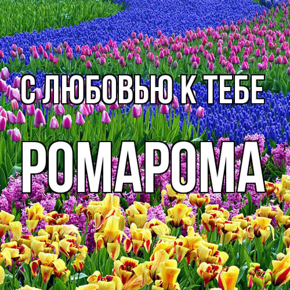 Открытка  с именем. РомаРома, С любовью к тебе  