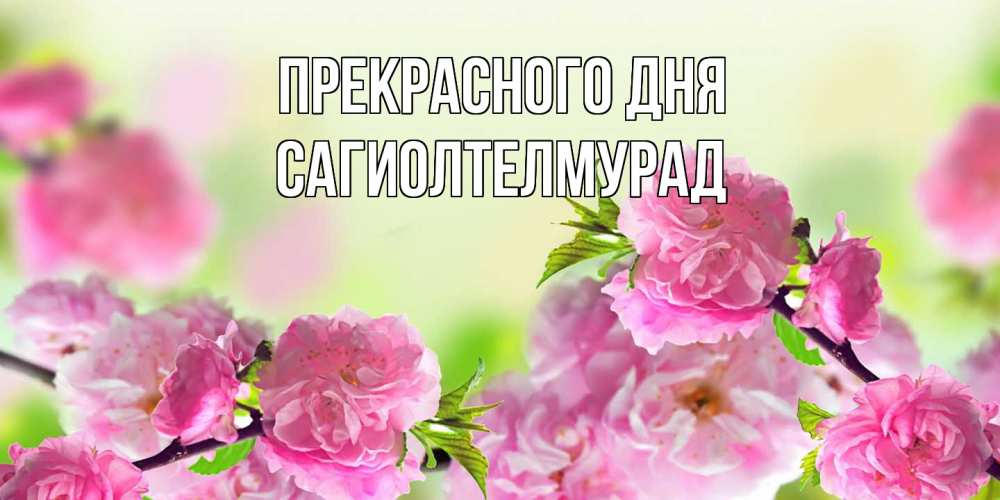 Открытка  с именем. САГИОЛТЕЛМУРАД, Прекрасного дня  
