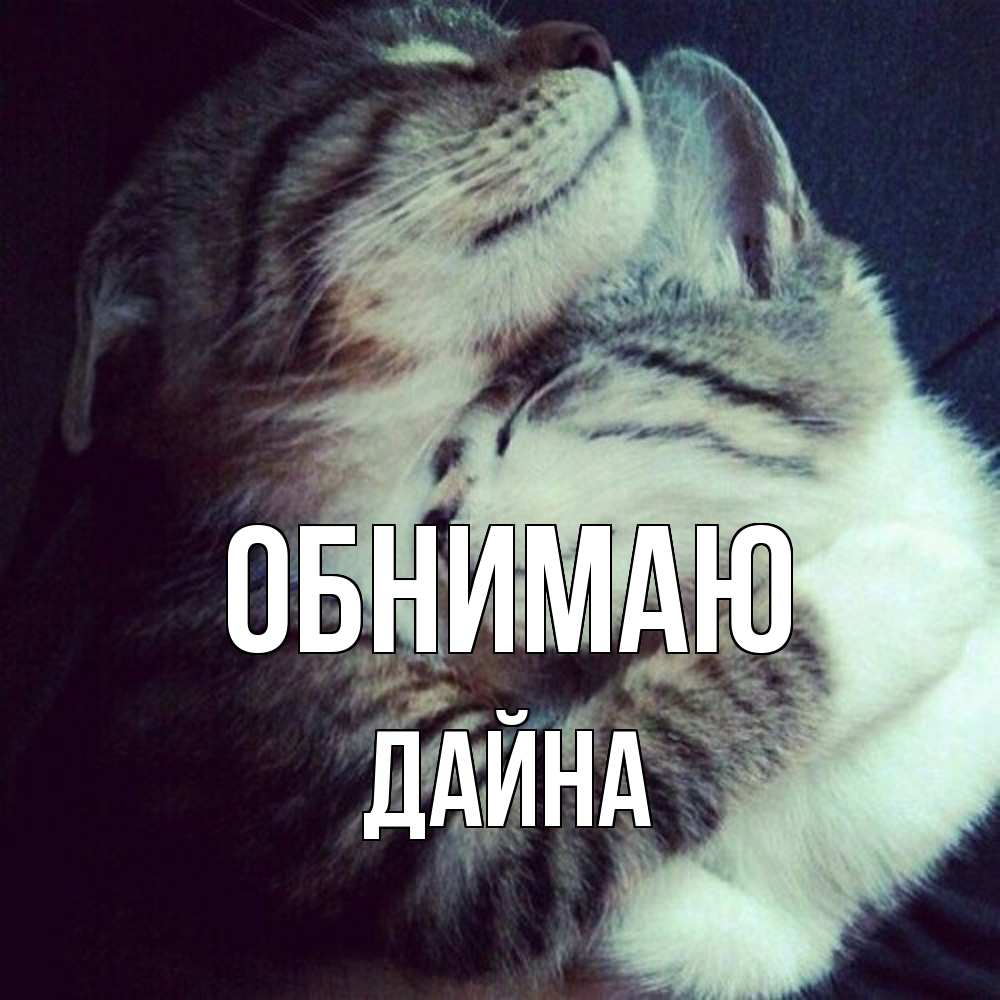 Открытка  с именем. Дайна, Обнимаю  