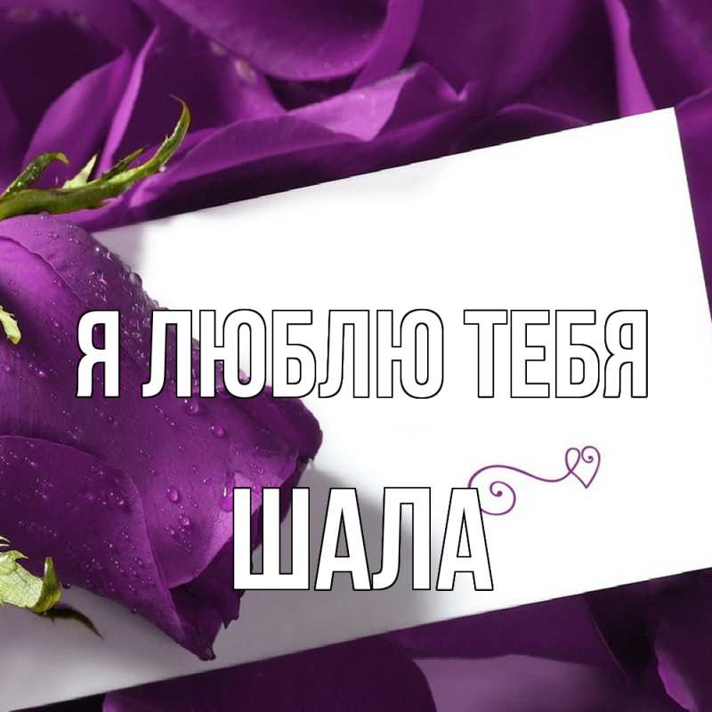 Картинка Я люблю тебя, Шала
