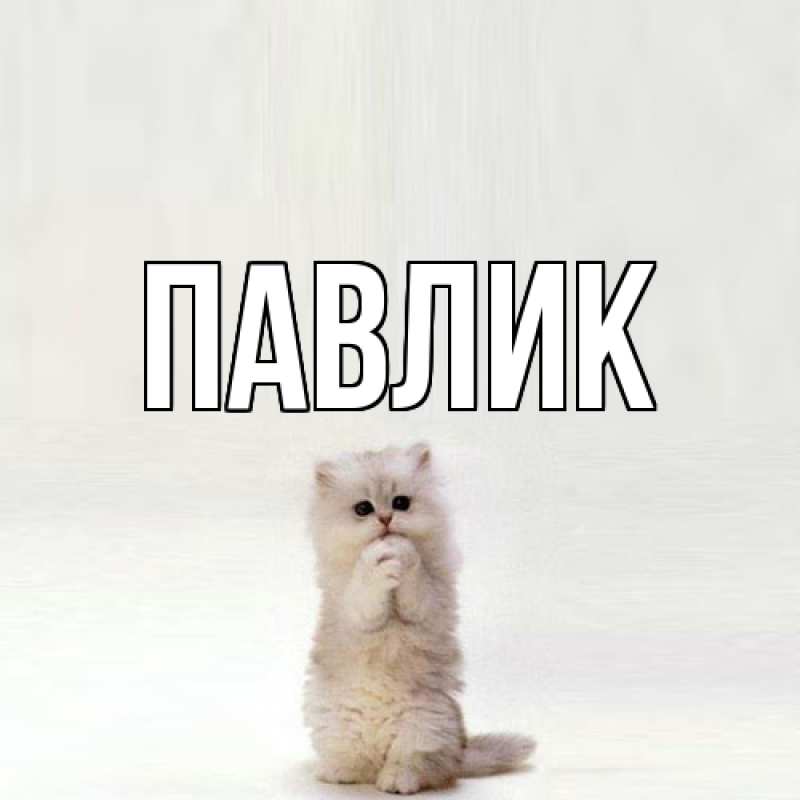 Картинка  с именем , Павлик