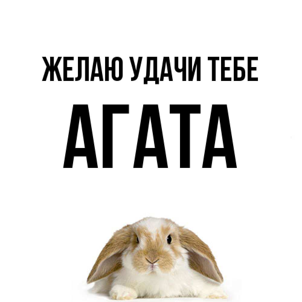 Открытка  с именем. Агата, Желаю удачи тебе  